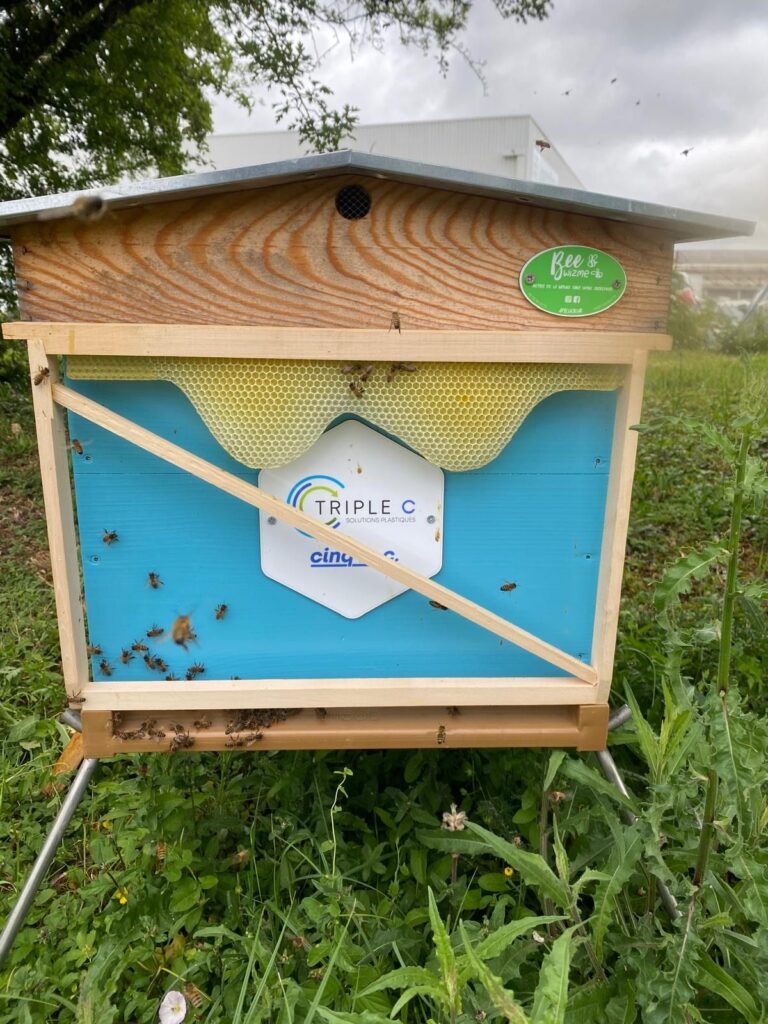 Ruches d'entreprise - Abeilles actives dans la ruche