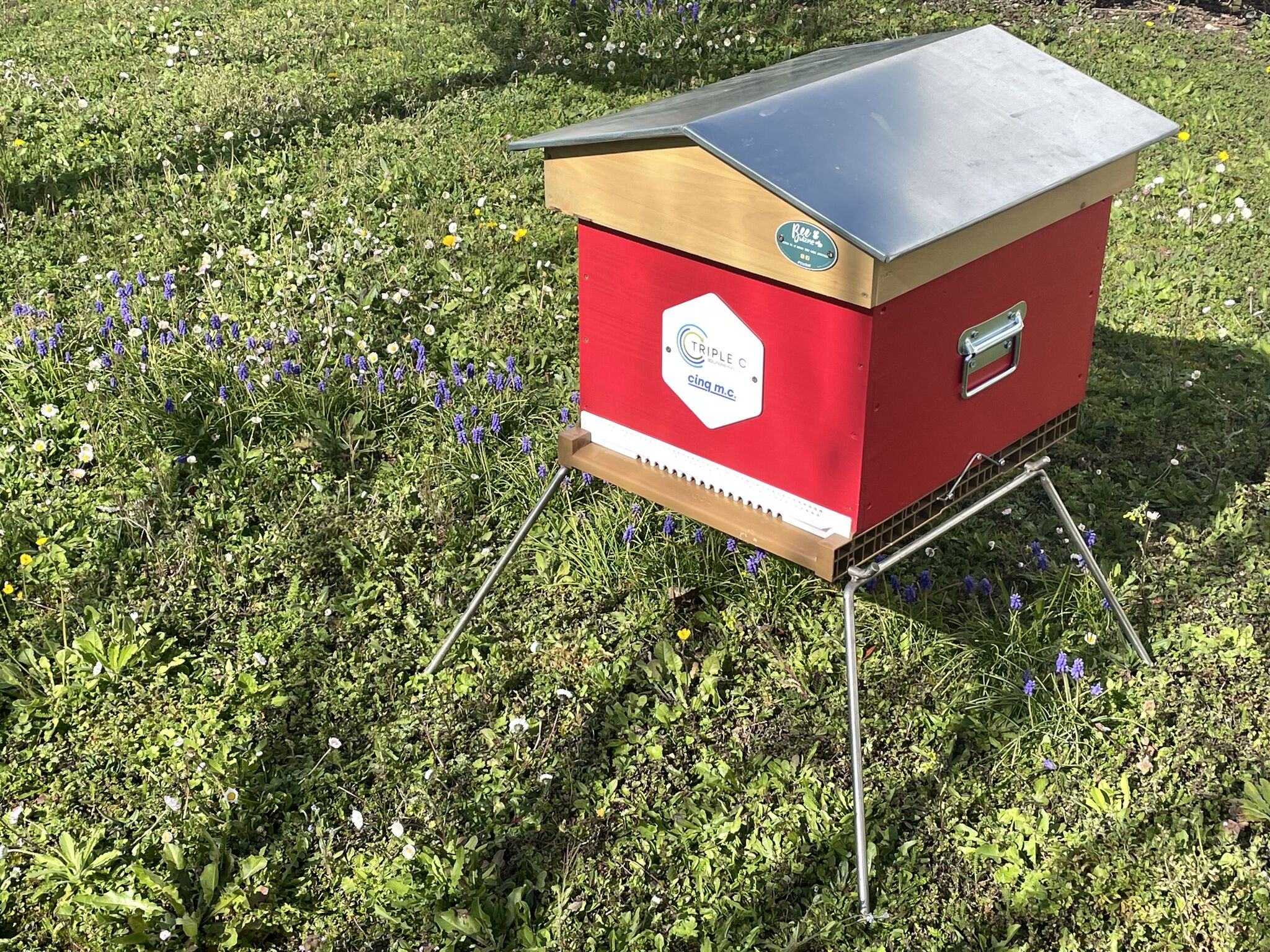 🐝 Ruches d’entreprise : Triple C s’engage pour les abeilles avec Beewizme